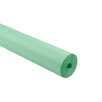 Frieze Paper Roll 1025mm x 25m - Pale Green