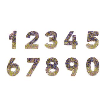 Resin Sequin Numbers