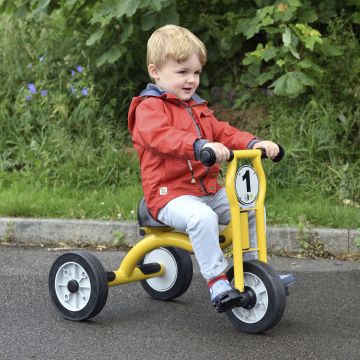 Wisdom Small Trike