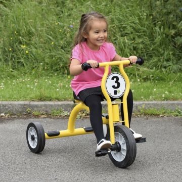 Wisdom Large Trike