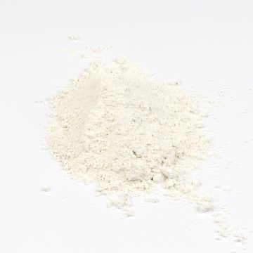 Scola Powder Colour 2.5kg - White