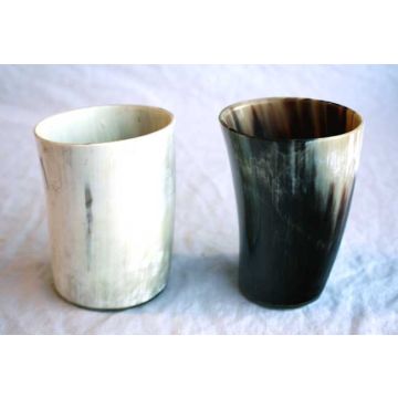 Horn Beaker