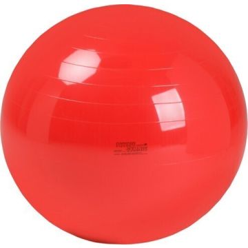 Physio Gymnic 85cm - Red