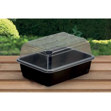 Gro Box Basil