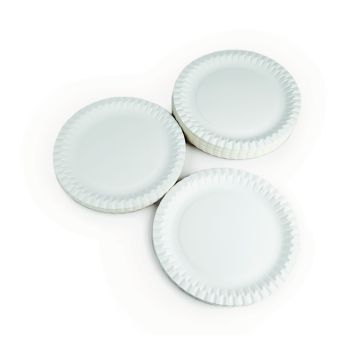 Paper Plates - 230mm - Pack of 100