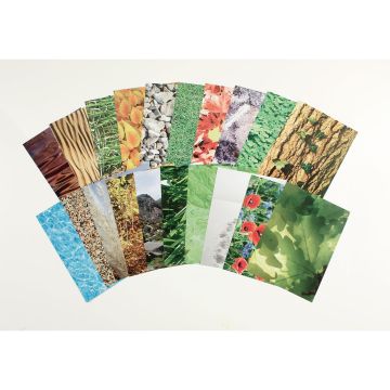 Nature's Trail - Pack of 40