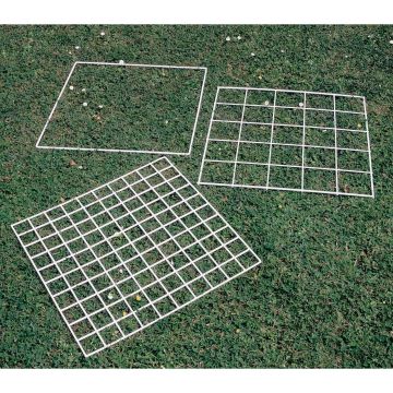 Grid Quadrat 25 Squares