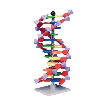 Mini DNA 11 Layer Molecular Model Kit