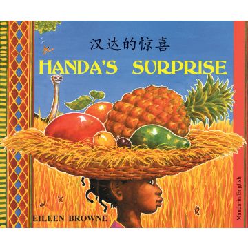 Handas Surrise Chinese Mandarin