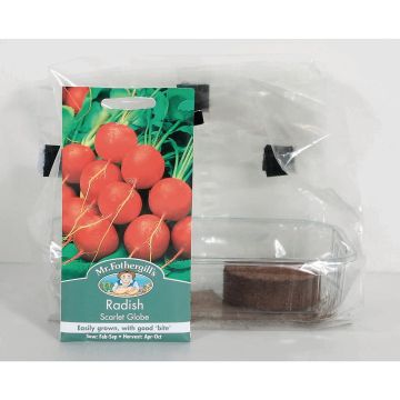 GroBox Window Garden - Raddish