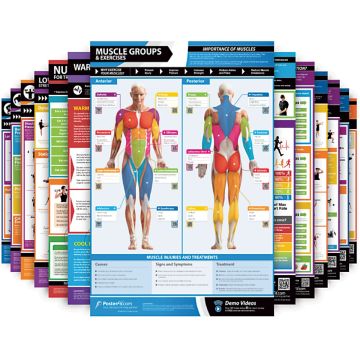 Exercise and Conditioning Posters - Full Set