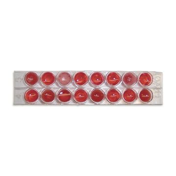 Blood Typing ABO Kit