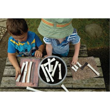 Dino Bones Match and Measure - Pack of 16