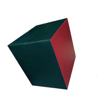 Sureshot Cuboid