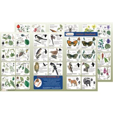 Habitat Woodland Identification Guide - Woodland Pack