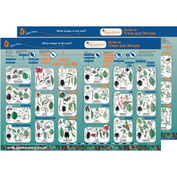 Trees and Shrubs Identification Guide Pack