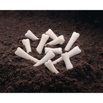 Yellow Door Dinosaur Bones Discovery Set