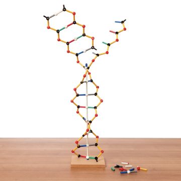 Orbit DNA-RNA Kit