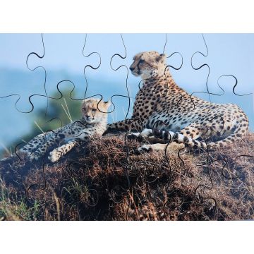 Just Jigsaws Wild Animals and Their Young