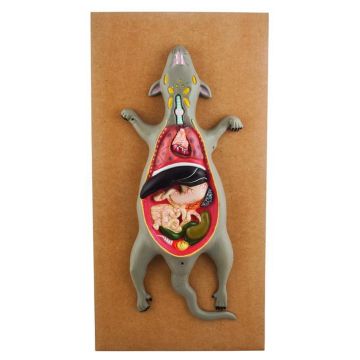 Dissection Model of A Rat Male