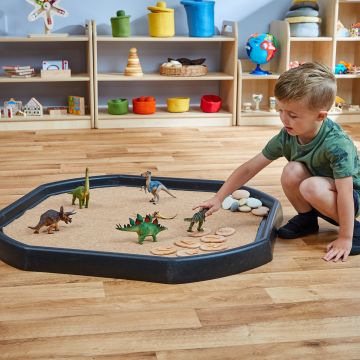Dinosaur Set 