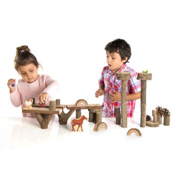 Branch Blocks - Pack of 36