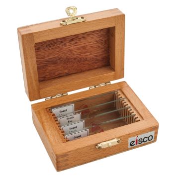 Wooden Slide Box