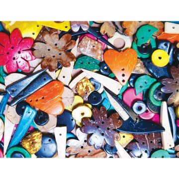 Recycled Coconut Shells - Assorted Shapes - 250g