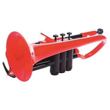 pCornet Cornet Outfit