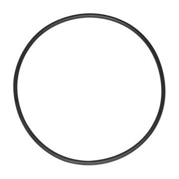 Spare Belt For Demonstration Dynamo