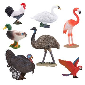 Birds Set