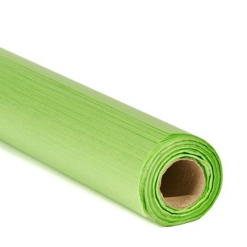 Coloured Tissue Paper Folds 762 x 508mm - Light Green - Pack of 48