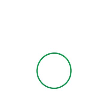 Hula Hoop - 460mm  - Green