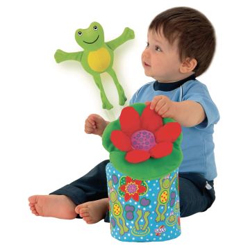 GALT Frog-in-a-Box