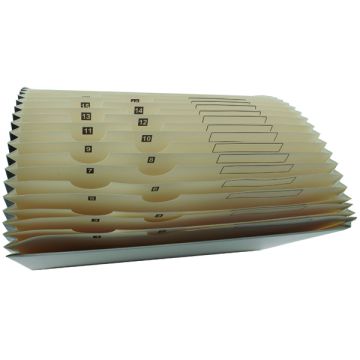 Expanding File 1-31 Cream