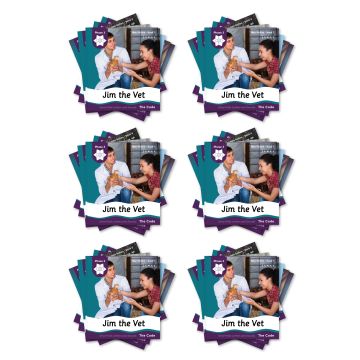 Smart Kids The Code Phase 3 Non-fiction Books - Set of 48