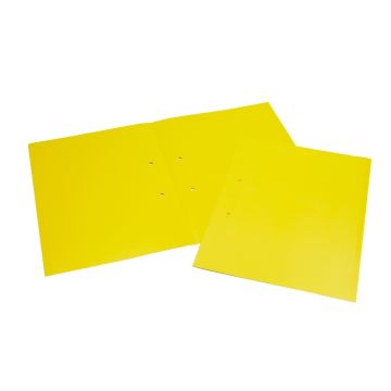 No Lace Files A4 - Yellow - Pack of 100