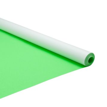 Poster Paper Rolls 760mm x 10m - Pale Green