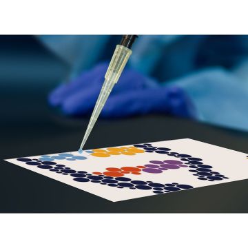 Pipetting by Numbers STEAM Pipetting Practice