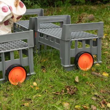 Assorted Wheels- Pack of 8
