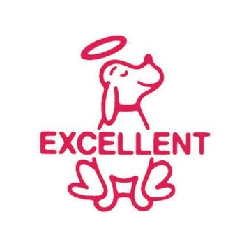 Xclamation Stamper - Excellent