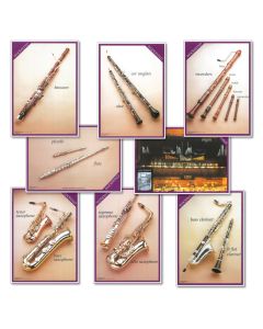 Woodwind Instruments Posters