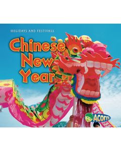 Holidays and Festivals Chinese New Year