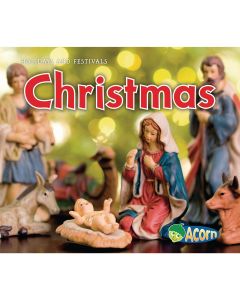 Holidays and Festivals Christmas