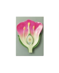 Typical Flower Model