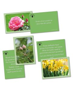 KS1 Discovering Science - Plants