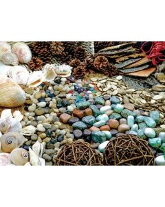Natural Exploration Starter Pack