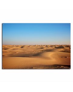 Desert Backdrop