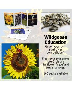 Life Cycle Frieze - A Sunflower Story