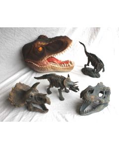 Fossils and Dinosaurs STAR BOX